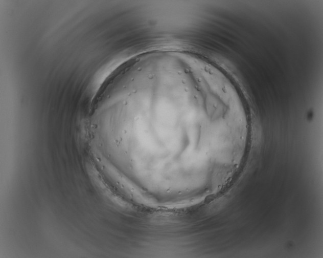 X0000115671481200912241409