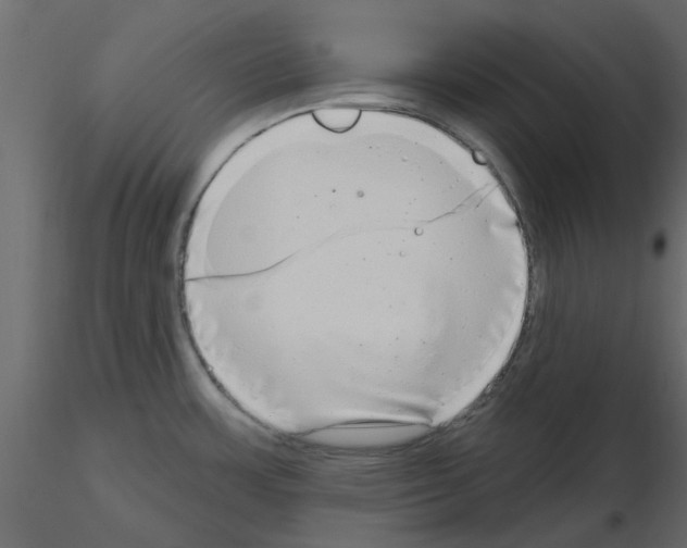 X0000115671483200912241409