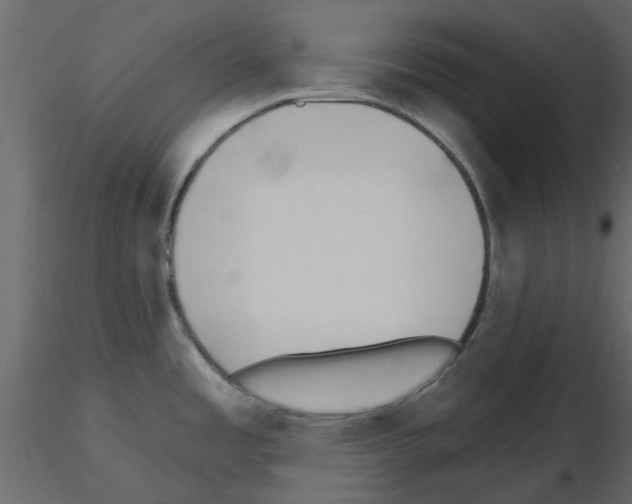 X0000115671485200912241409