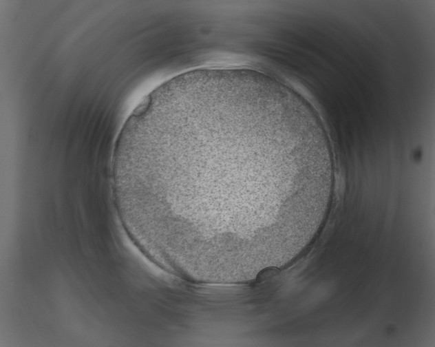 X0000115671487200912241409