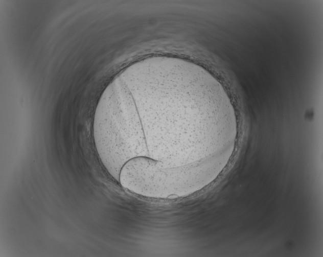 X0000115671489200912241408