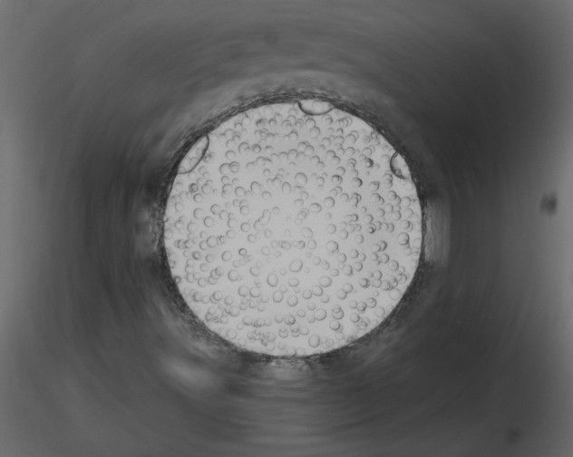 X0000115671491200912241408