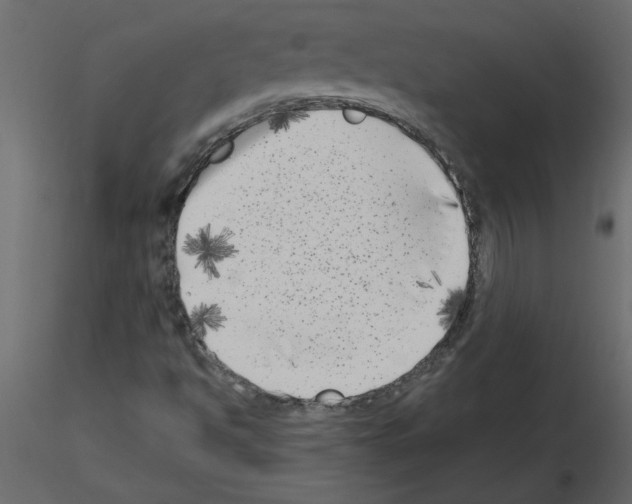 X0000115671494200912241408