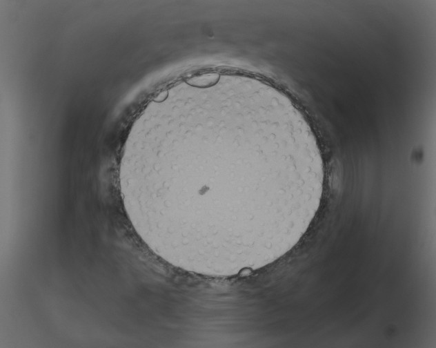 X0000115671495200912241409