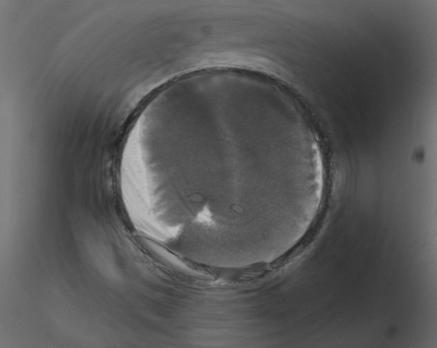 X0000115671497200912241409