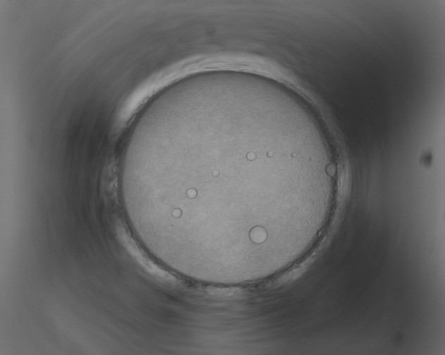 X0000115671498200912241409