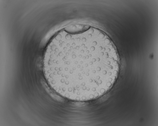 X0000115671499200912241409