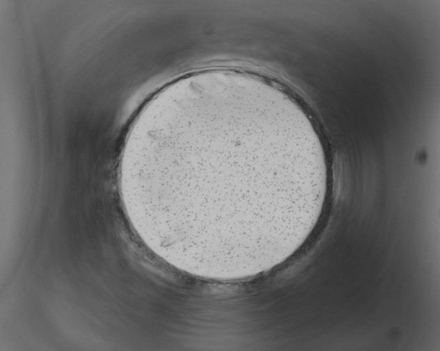 X0000115671501200912241409