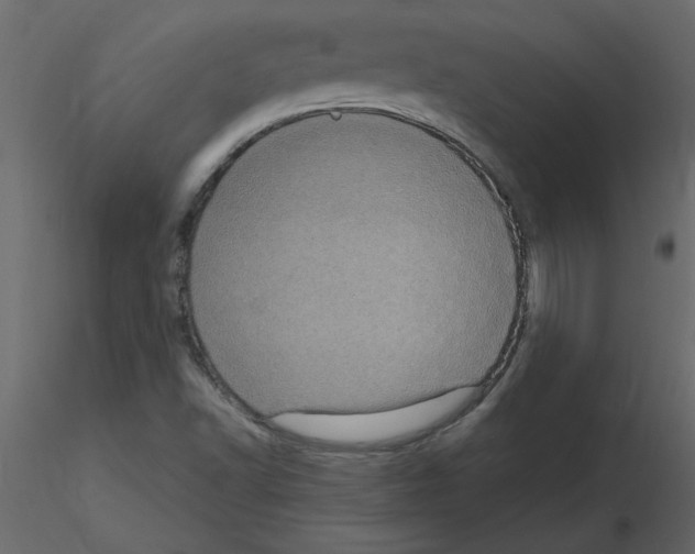 X0000115671502200912241409