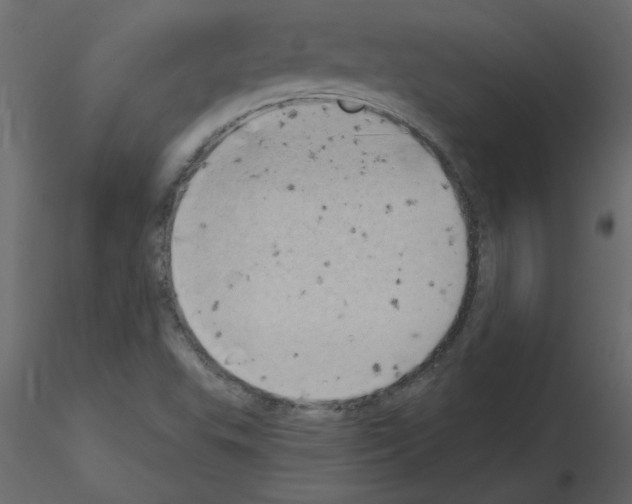 X0000115671503200912241409