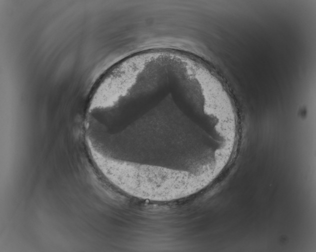 X0000115671505200912241409