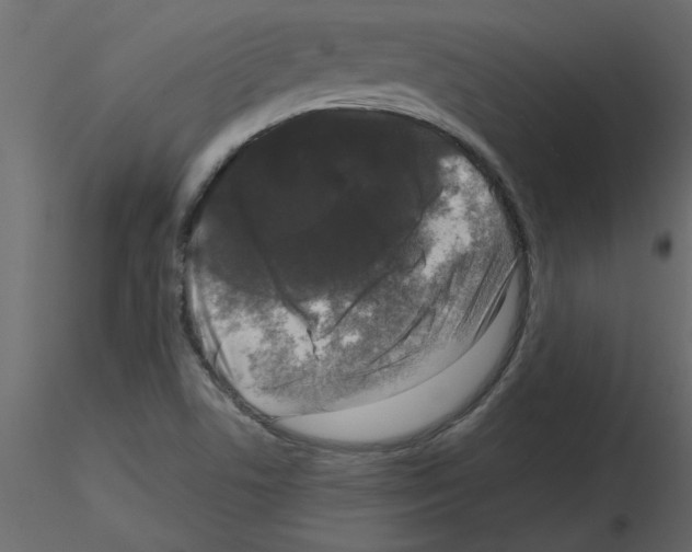 X0000115671506200912241409