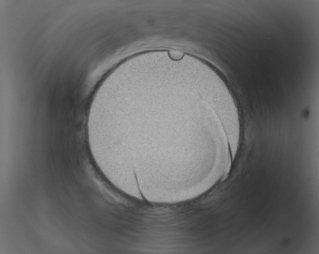 X0000115671507200912241409