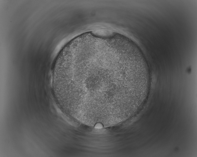 X0000115671509200912241409