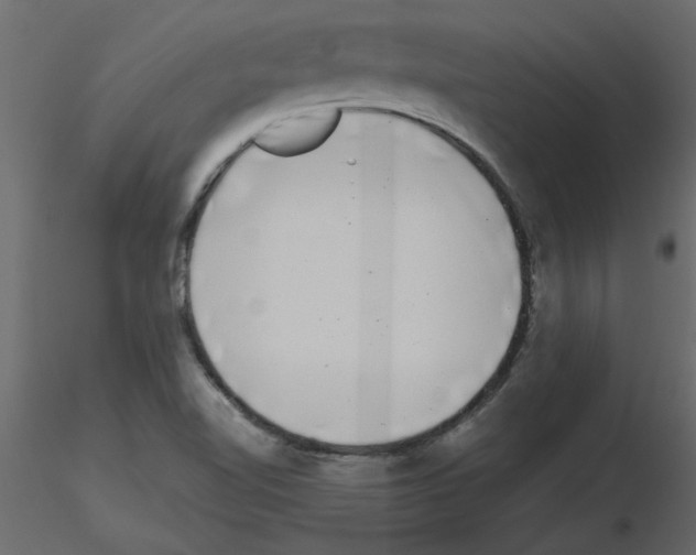 X0000115671510200912241409