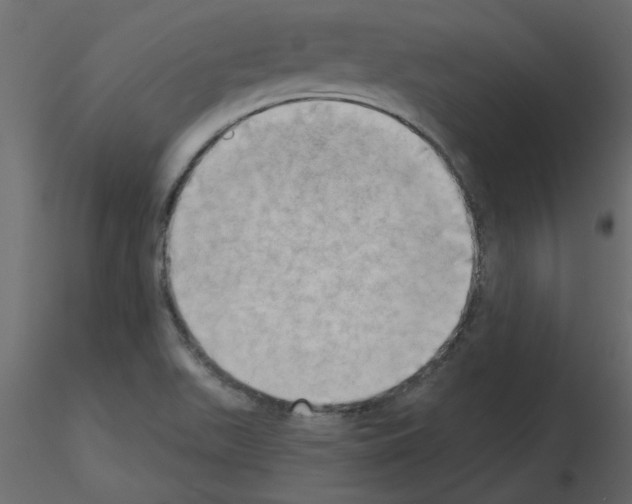 X0000115671511200912241409