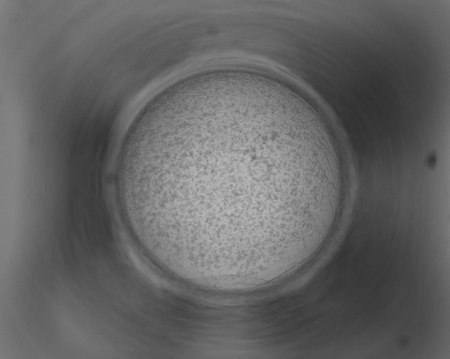 X0000115671514200912241409