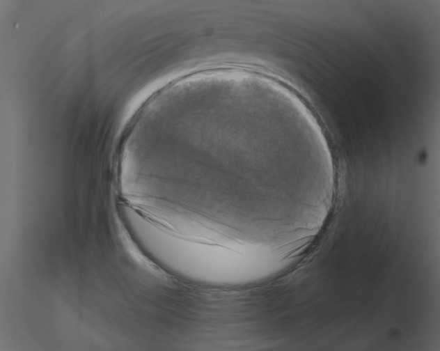 X0000115671515200912241409