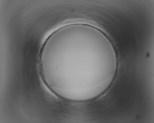 X0000115671518200912241409