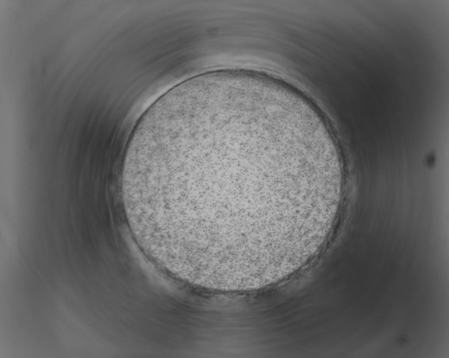 X0000115671521200912241409