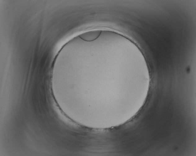 X0000115671526200912241409