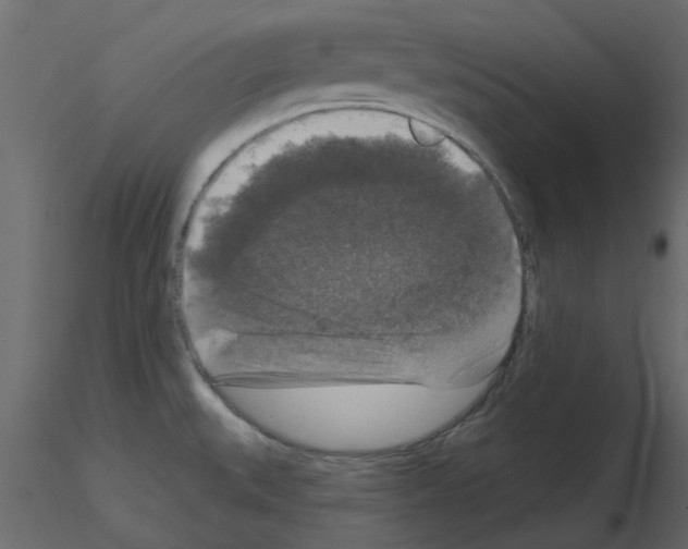 X0000115671527200912241409