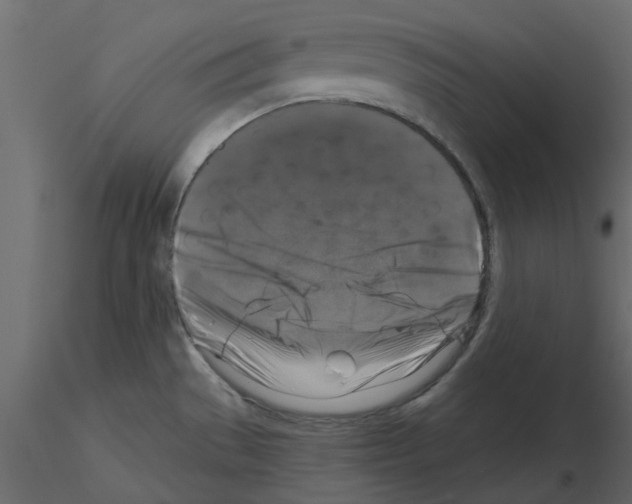 X0000115671529200912241409