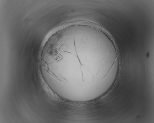 X0000115671530200912241409