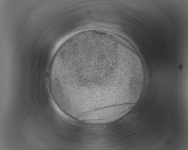 X0000115671531200912241409