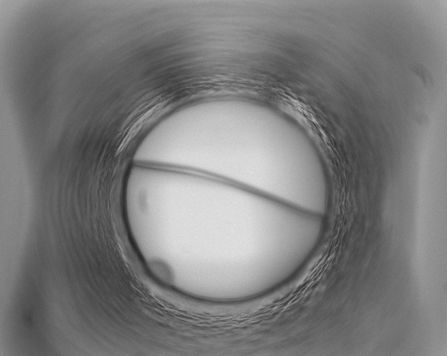 X0000115680001200911120956