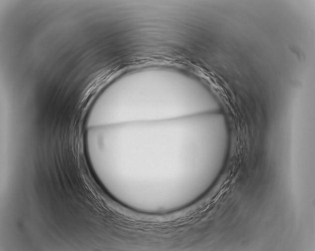 X0000115680002200911120956