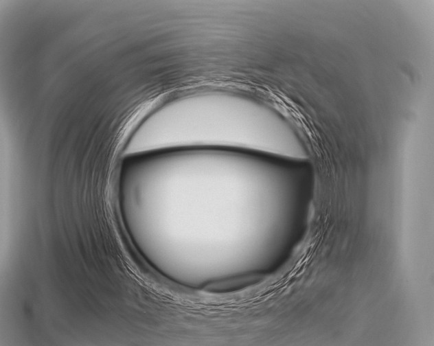 X0000115680003200911120956