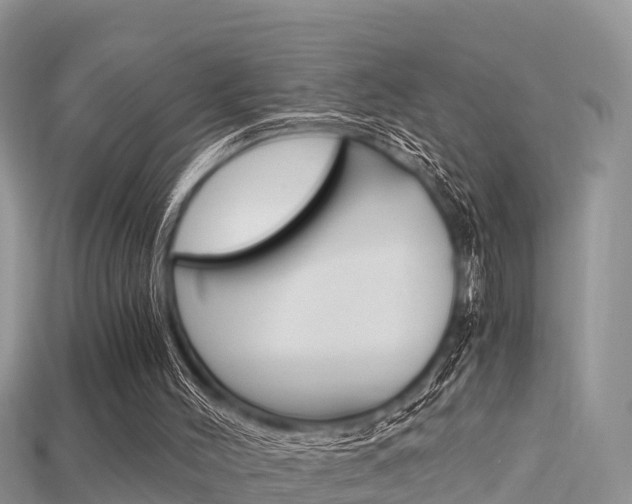 X0000115680004200911120956