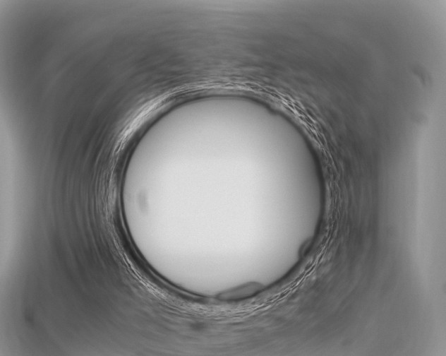 X0000115680005200911120956