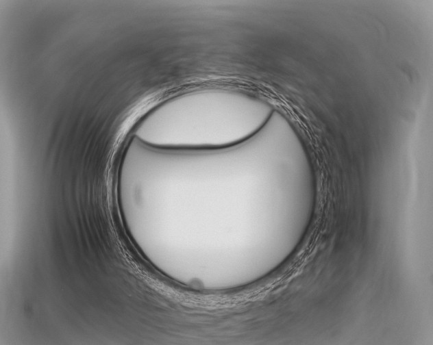 X0000115680006200911120956
