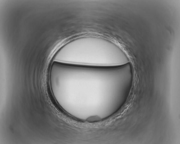 X0000115680007200911120956