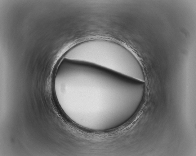 X0000115680008200911120956