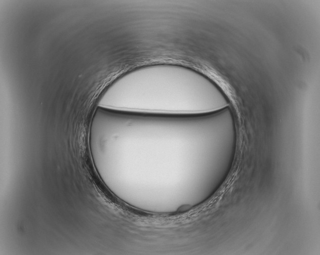 X0000115680009200911120956