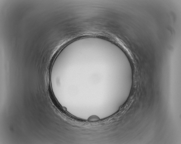 X0000115680011200911120956