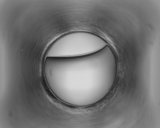 X0000115680012200911120956
