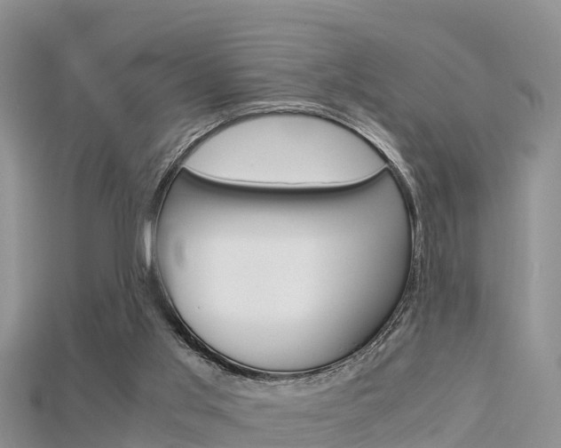 X0000115680013200911120956