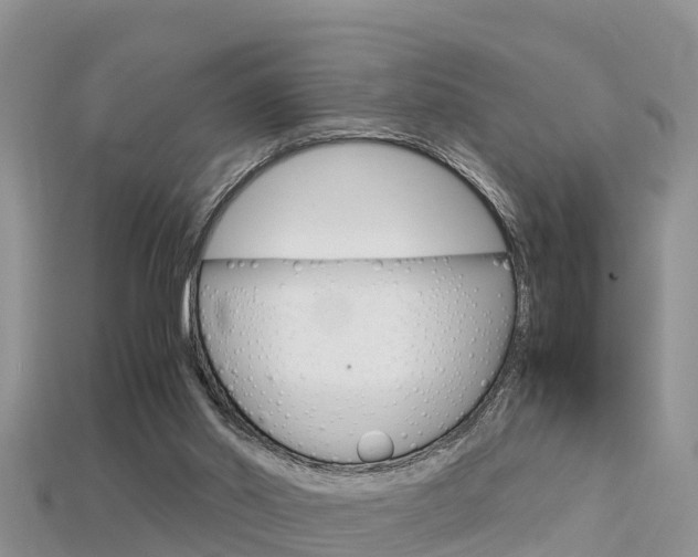 X0000115680014200911120956