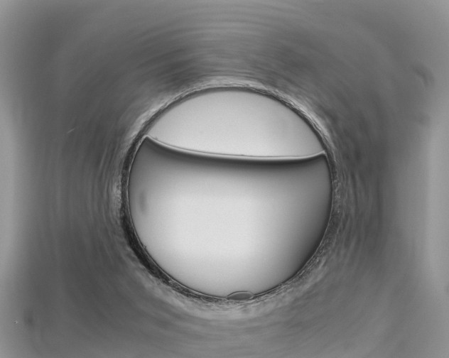 X0000115680015200911120956