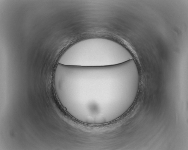X0000115680018200911120956