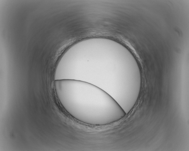 X0000115680019200911120956