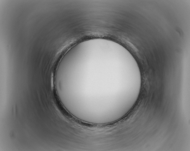 X0000115680020200911120956