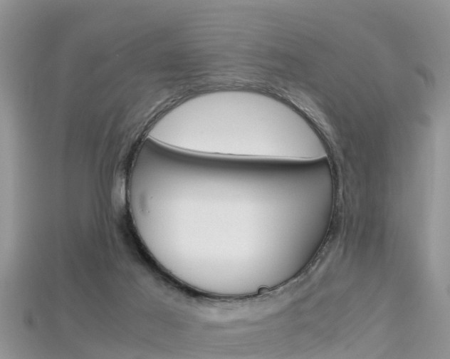 X0000115680021200911120956