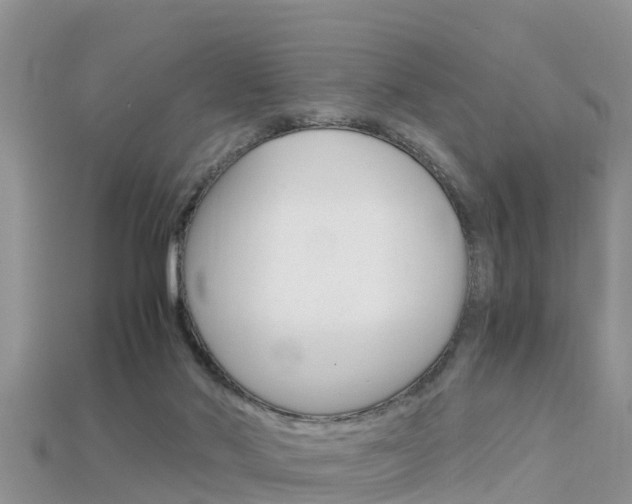 X0000115680022200911120956