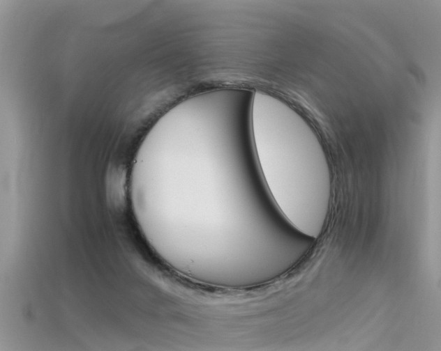 X0000115680024200911120956