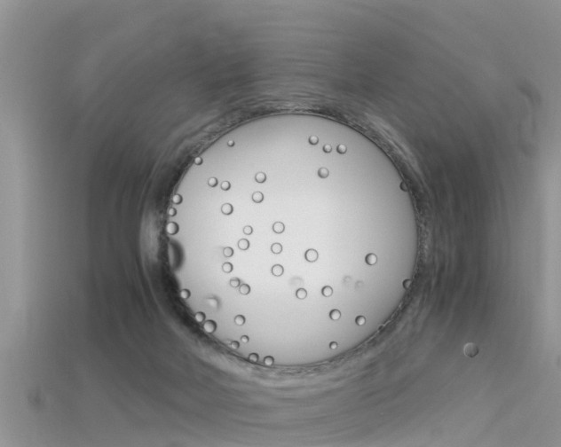 X0000115680026200911120956